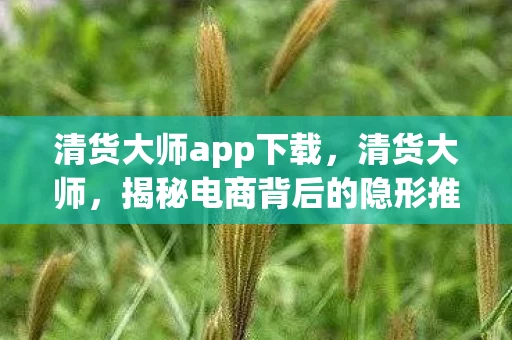 清货大师app下载，清货大师，揭秘电商背后的隐形推手