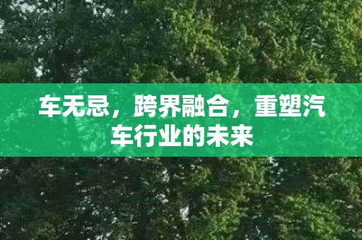车无忌，跨界融合，重塑汽车行业的未来