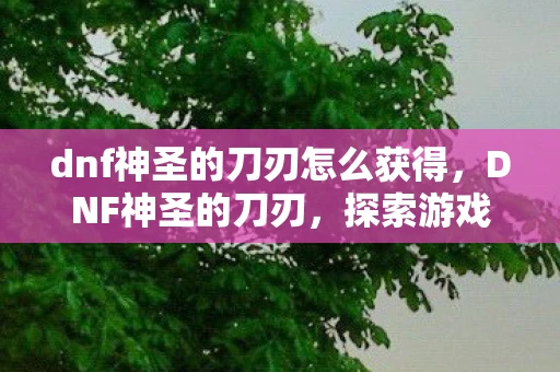 dnf神圣的刀刃怎么获得，DNF神圣的刀刃，探索游戏中最神秘武器的起源与传说