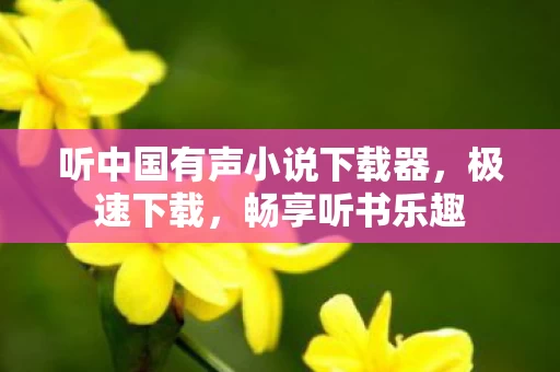 听中国有声小说下载器图片