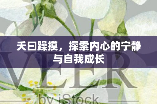 夭曰躁摸，探索内心的宁静与自我成长