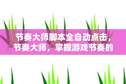 节奏大师脚本全自动点击，节奏大师，掌握游戏节奏的脚本艺术