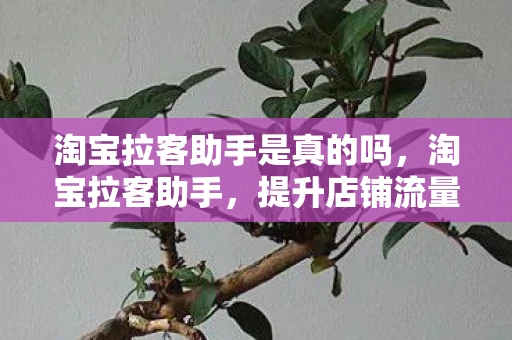 淘宝拉客助手是真的吗，淘宝拉客助手，提升店铺流量的秘密武器