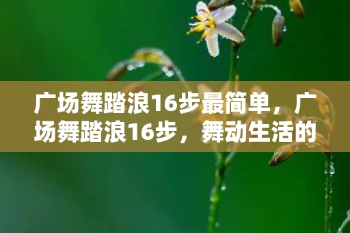 广场舞踏浪16步最简单，广场舞踏浪16步，舞动生活的旋律