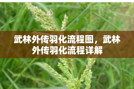 武林外传羽化流程图,武林外传羽化流程详解 武林外传羽化流程图,武林外传羽化流程详解