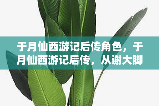 于月仙西游记后传角色，于月仙西游记后传，从谢大脚到传奇的跨越