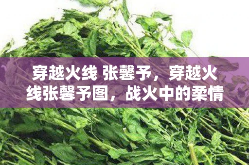 穿越火线 张馨予，穿越火线张馨予图，战火中的柔情与坚韧