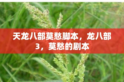 天龙八部莫愁脚本，龙八部3，莫愁的剧本