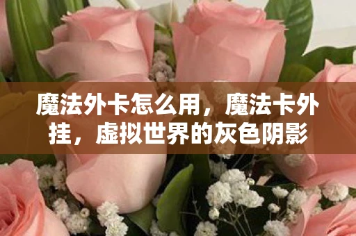 魔法外卡怎么用，魔法卡外挂，虚拟世界的灰色阴影