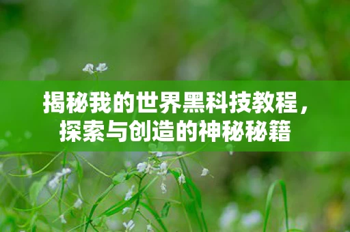 揭秘我的世界黑科技教程图片