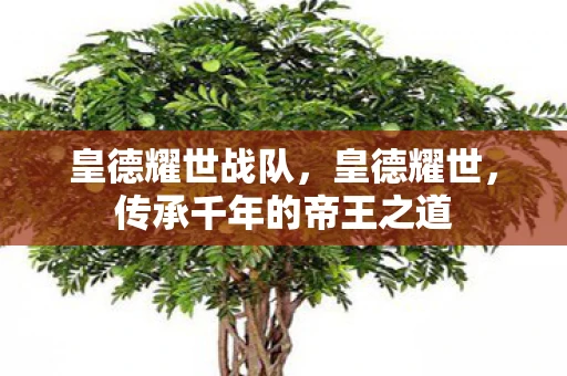 皇德耀世战队,皇德耀世,传承千年的帝王之道 皇德耀世战队,皇德耀世,传承千年的帝王之道