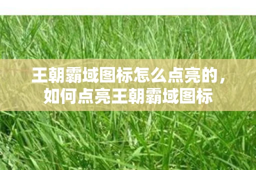 王朝霸域图标怎么点亮的，如何点亮王朝霸域图标