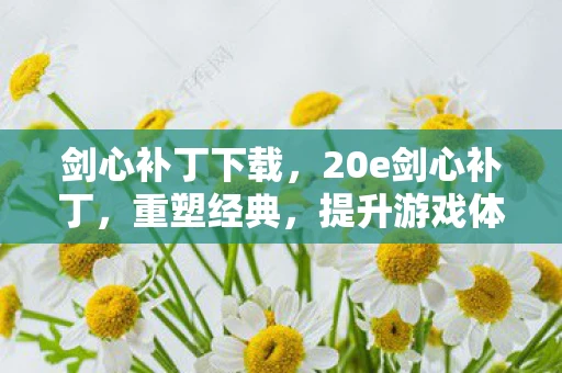 剑心补丁下载，20e剑心补丁，重塑经典，提升游戏体验