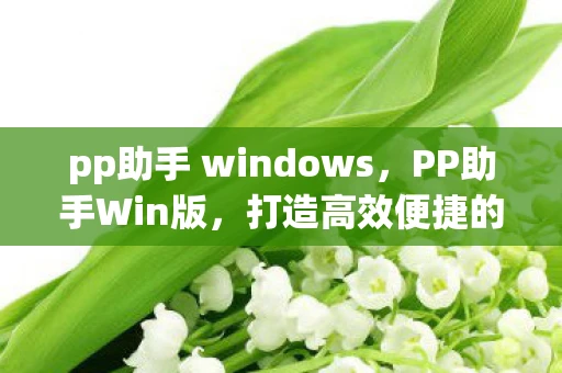 pp助手 windows，PP助手Win版，打造高效便捷的移动设备管理工具