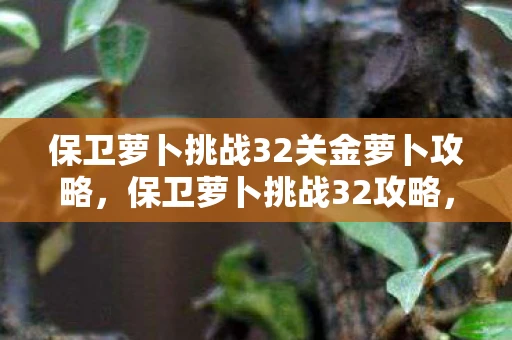 保卫萝卜挑战32关金萝卜攻略，保卫萝卜挑战32攻略，金萝卜布阵图详解