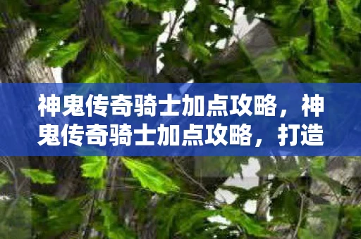 神鬼传奇骑士加点攻略，神鬼传奇骑士加点攻略，打造最强战斗力的骑士