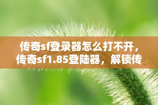 传奇sf登录器怎么打不开，传奇sf1.85登陆器，解锁传奇世界的神秘钥匙