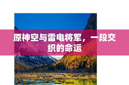 原神空与雷电将军图片