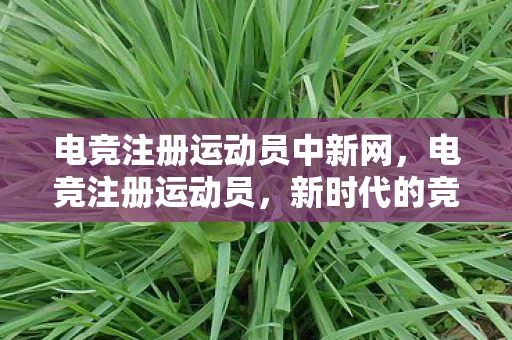 电竞注册运动员中新网,电竞注册运动员,新时代的竞技挑战与机遇 电竞注册运动员中新网,电竞注册运动员,新时代的竞技挑战与机遇