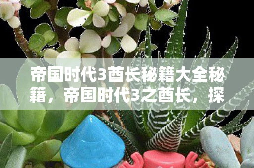 帝国时代3酋长秘籍大全秘籍，帝国时代3之酋长，探索原住民部落的传奇故事