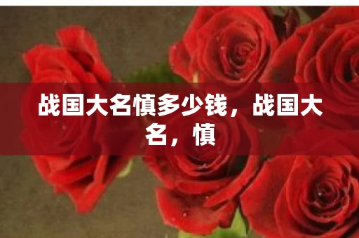 战国大名慎多少钱，战国大名，慎