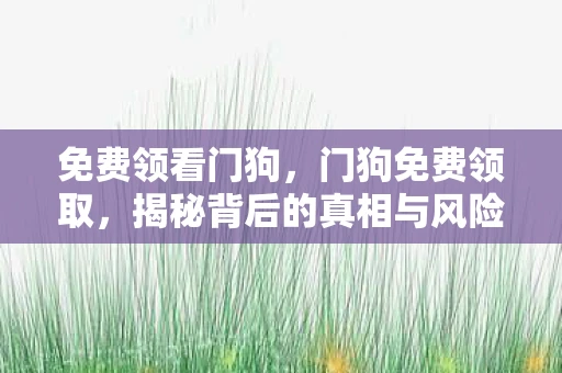 免费领看门狗,门狗免费领取,揭秘背后的真相与风险 免费领看门狗,门狗免费领取,揭秘背后的真相与风险
