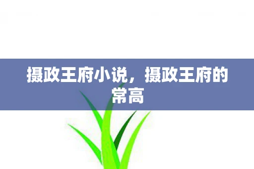 摄政王府小说，摄政王府的常高