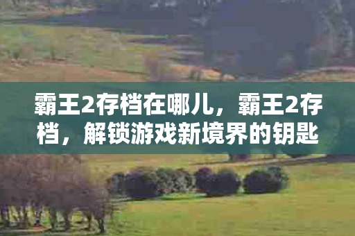 霸王2存档在哪儿，霸王2存档，解锁游戏新境界的钥匙