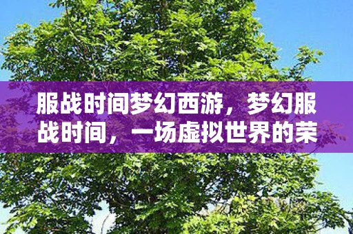 服战时间梦幻西游，梦幻服战时间，一场虚拟世界的荣耀之战