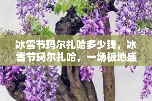 冰雪节玛尔扎哈多少钱，冰雪节玛尔扎哈，一场极地盛宴的奇幻之旅