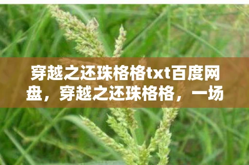 穿越之还珠格格txt百度网盘，穿越之还珠格格，一场时空错位的浪漫邂逅