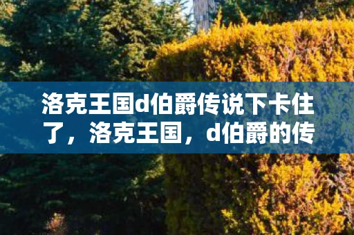 洛克王国d伯爵传说下卡住了，洛克王国，d伯爵的传说之下