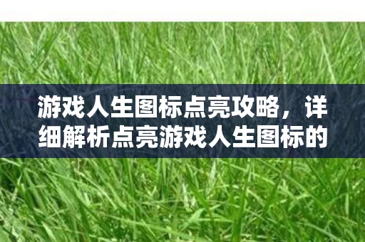 详细解析点亮游戏人生图标的方法图片