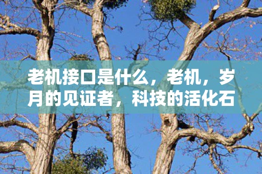 老机接口是什么，老机，岁月的见证者，科技的活化石