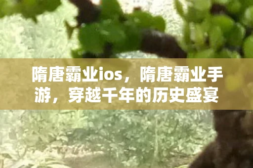 隋唐霸业ios，隋唐霸业手游，穿越千年的历史盛宴