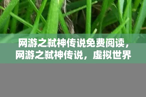 网游之弑神传说免费阅读,网游之弑神传说,虚拟世界的无尽征途 网游之弑神传说免费阅读,网游之弑神传说,虚拟世界的无尽征途