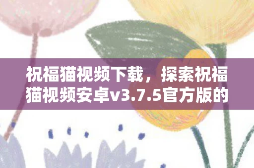 探索祝福猫视频安卓v3图片