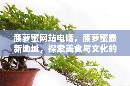 菠萝蜜网站电话,菠萝蜜最新地址,探索美食与文化的交汇点 菠萝蜜网站电话,菠萝蜜最新地址,探索美食与文化的交汇点