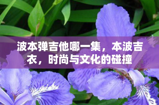 波本弹吉他哪一集,本波吉衣,时尚与文化的碰撞 波本弹吉他哪一集,本波吉衣,时尚与文化的碰撞