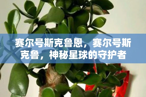 赛尔号斯克鲁恩，赛尔号斯克鲁，神秘星球的守护者