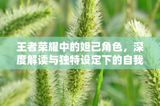 深度解读与独特设定下的自我液态体验图片
