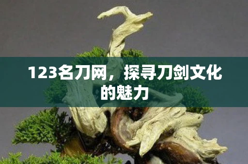 123名刀网，探寻刀剑文化的魅力