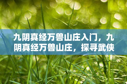 九阴真经万兽山庄入门,九阴真经万兽山庄,探寻武侠世界的神秘山庄 九阴真经万兽山庄入门,九阴真经万兽山庄,探寻武侠世界的神秘山庄