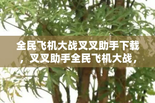 全民飞机大战叉叉助手下载，叉叉助手全民飞机大战，重温经典，挑战极限