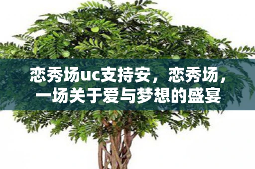 恋秀场uc支持安，恋秀场，一场关于爱与梦想的盛宴