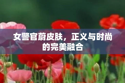 女警官蔚皮肤，正义与时尚的完美融合