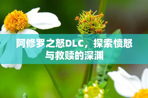 阿修罗之怒DLC，探索愤怒与救赎的深渊