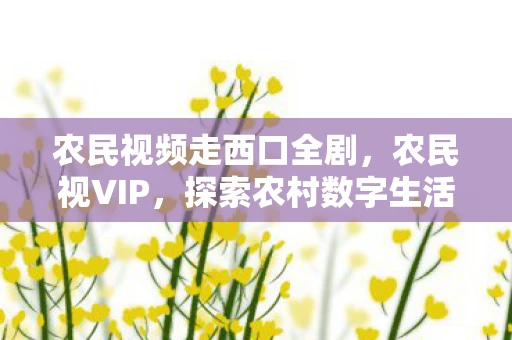 农民视频走西口全剧，农民视VIP，探索农村数字生活的崛起