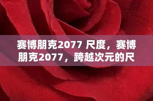 赛博朋克2077 尺度,赛博朋克2077,跨越次元的尺度探索 赛博朋克2077 尺度,赛博朋克2077,跨越次元的尺度探索