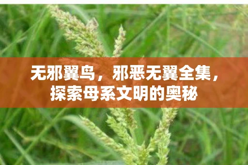 无邪翼鸟,邪恶无翼全集,探索母系文明的奥秘 无邪翼鸟,邪恶无翼全集,探索母系文明的奥秘